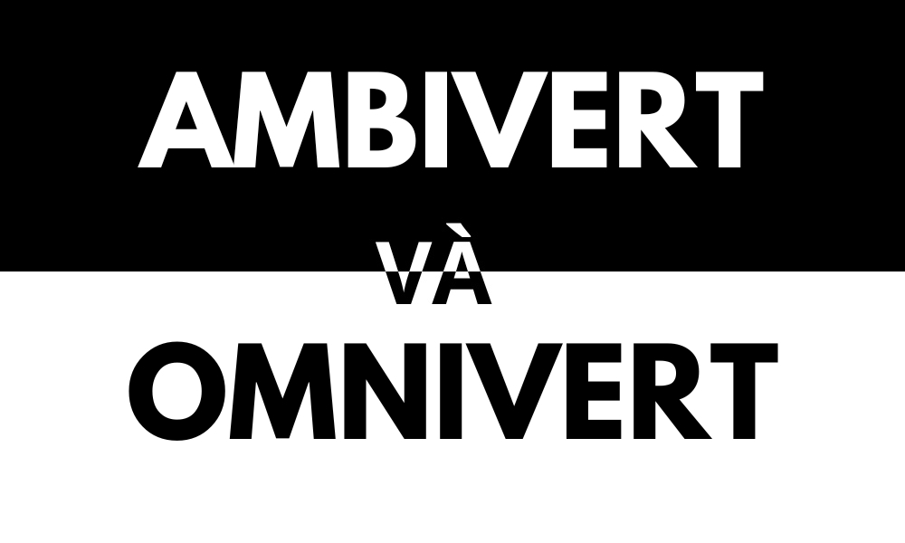 Ambivert và Omnivert