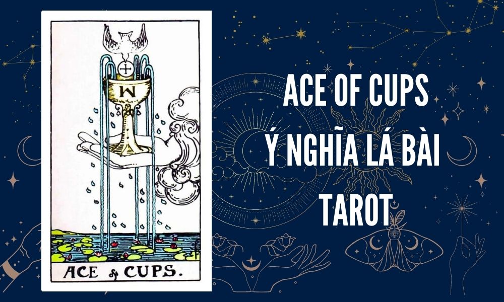 Ý NGHĨA LÁ BÀI TAROT - Ace of Cups