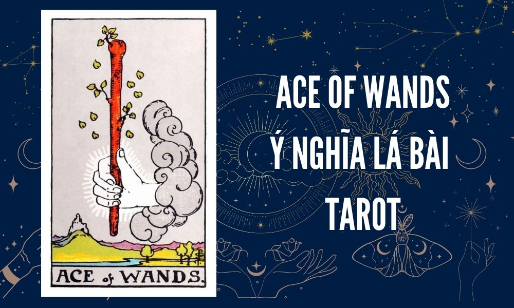 Ý NGHĨA LÁ BÀI TAROT - Ace of Wands